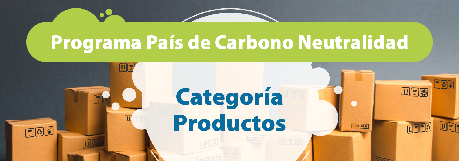 Programa País de Carbono Neutralidad, Categoría Productos