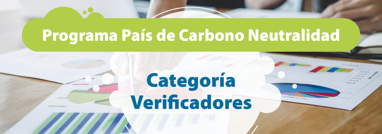 Programa País de Carbono Neutralidad, Categoría Verificadores